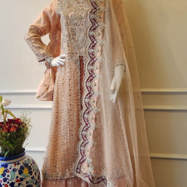 Blush Embroidered Lehenga