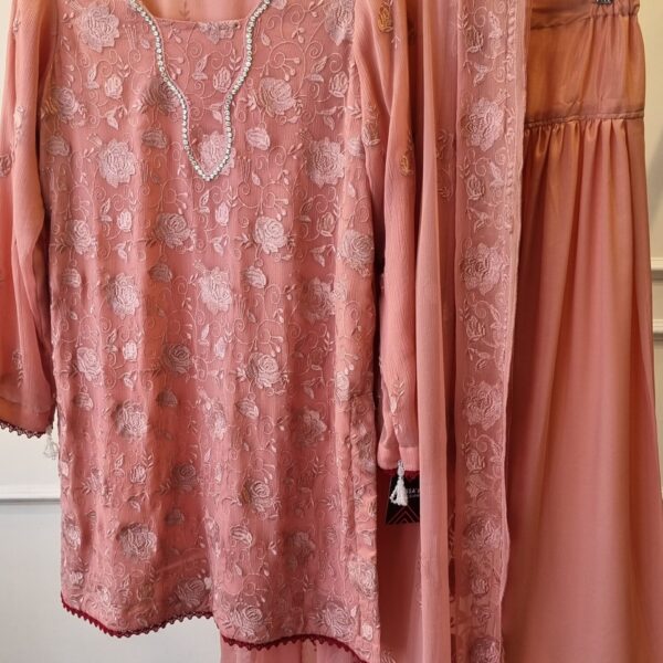 Pink Elegance Chiffon Suit